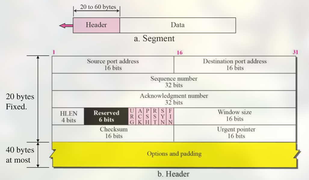 TCP Packet Format